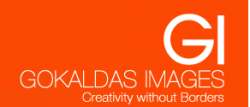 GOKALDAS IMAGES PVT LTD logo icon