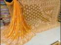 Chiffon Skirt Border hand Embroidery Chikan Saree thumb 1