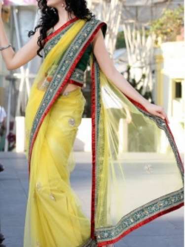 Designer Net Saree by Desi Luk Pvt Ltd