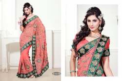Embroidered Saree with green Lace