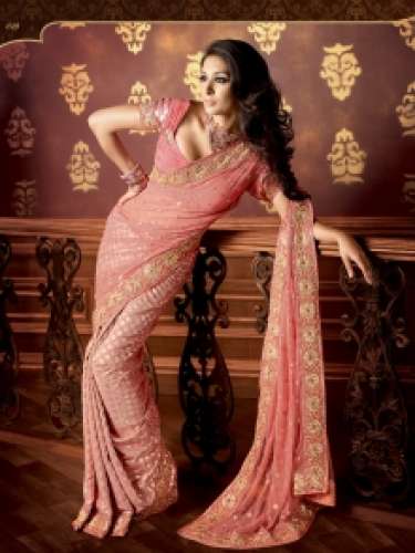 Heavy Embroidered Saree by Desi Luk Pvt Ltd