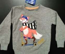 Boys Embroidered Sweat shirt