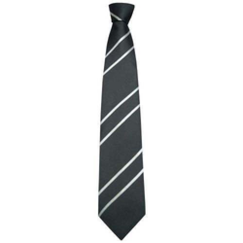 Institutional Neck Ties