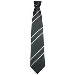 Institutional Neck Ties