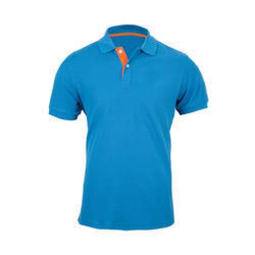 Polo T-Shirts by Anand impax