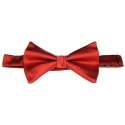 Silk Bow Tie