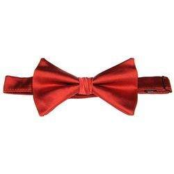 Silk Bow Tie
