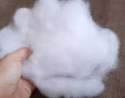 loose-polyester-fiber