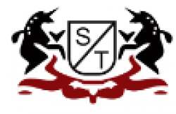 STI APPAREL AUTOMOTION P LTD logo icon