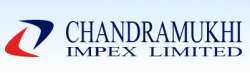 Chandramukhi Impex Ltd logo icon