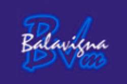 Balavigna Weaving Mills Pvt Ltd logo icon