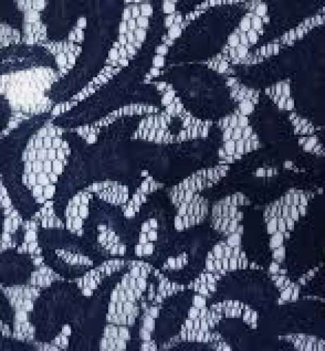 Silk India Corporation Rasal Net Fabric