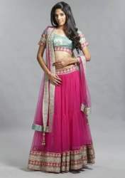Designer Net Lehenga Choli