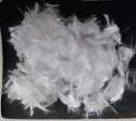 Polyester Staple fiber 