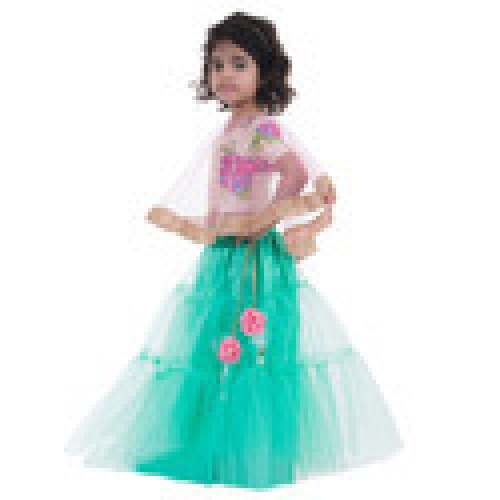 Baby Girl Lehenga Choli
