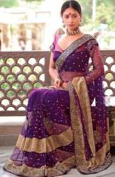 Fancy Net Saree