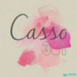 Casso 301 Pvt Ltd logo icon