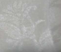 Chiffon Jacquard Self Designer Fabric