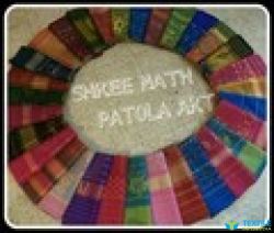 Shree Nath Patola Art logo icon