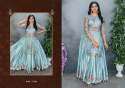 Designer Organza Salwar Suit  thumb 3