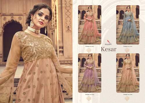 Fancy Butterfly Net With Embroidery Work Suit 