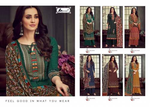 Pashmina Digital Print Salwar Suit