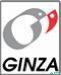 Ginza logo icon