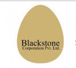 Blackstone Corporation Private Limited logo icon