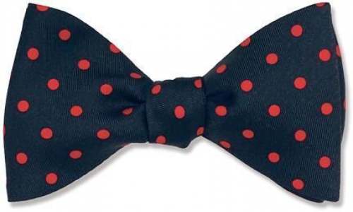 dotted bow tie by Esskay International