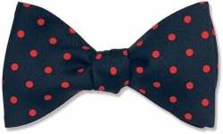 dotted bow tie