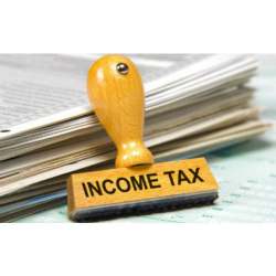 Income Tax Survey Consultancy Service