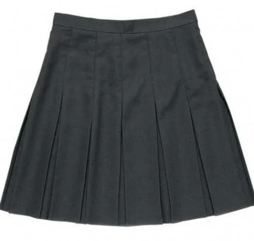 Plain Girls Pleated School Skirt by Ashok Dresses