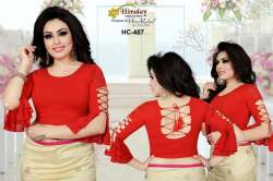 Designer blouse -HC 487