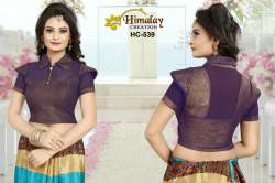 Stretchable Blouse - HC 539