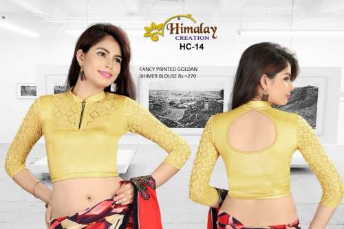 Zipper Neck Shimmer Golden Stretchable Blouse by himalay creation