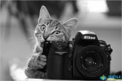 Harshil Desal Photography logo icon