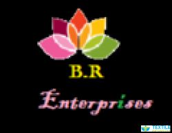 Br Enterprises logo icon