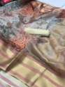 Pure Organza soft silk saree thumb 11