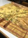 Pure Organza soft silk saree thumb 6