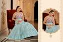 Anarkali Gown DN 1471 To 1476 thumb 6