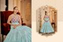 Anarkali Gown DN 1471 To 1476 thumb 7