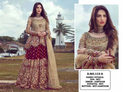 Butterfly Net With Embroider Pakistani Suit DN 113