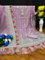 Butterfly Net With Embroider Pakistani Suit DN 126 thumb 6
