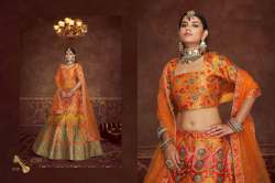 Exclusive Embroiered Lehenga Choli DN 2021 to 2027