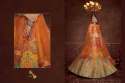 Exclusive Embroiered Lehenga Choli DN 2021 to 2027 thumb 1