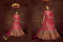 Exclusive Embroiered Lehenga Choli DN 2021 to 2027 thumb 4