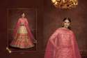 Exclusive Embroiered Lehenga Choli DN 2021 to 2027 thumb 7