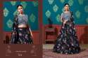 Girly Look Embroidered Lehenga Choli DN 1673-74 thumb 2