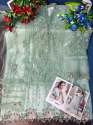 Heavy Butterfly Net Pakistani Suit DN 9110 thumb 6