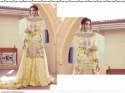 SHREE FAB DN S-206 NET WITH EMBROIDERY WORK SUIT